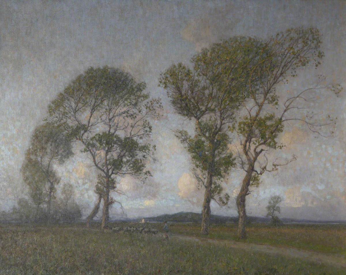 Poplars