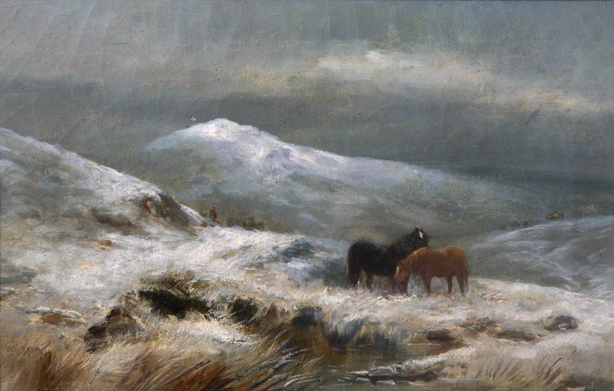 Ponies on Winter Moorland