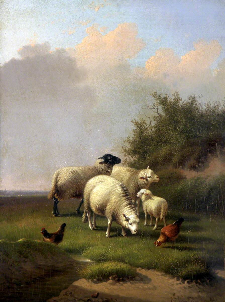 Sheep with Chickens