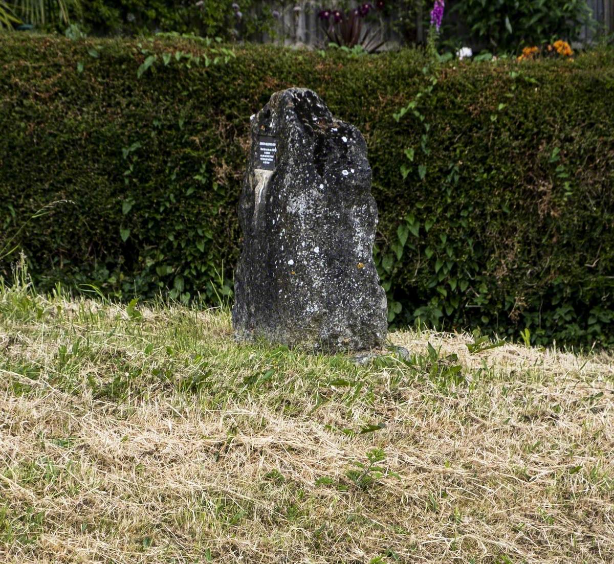 Edington Millennium Stone