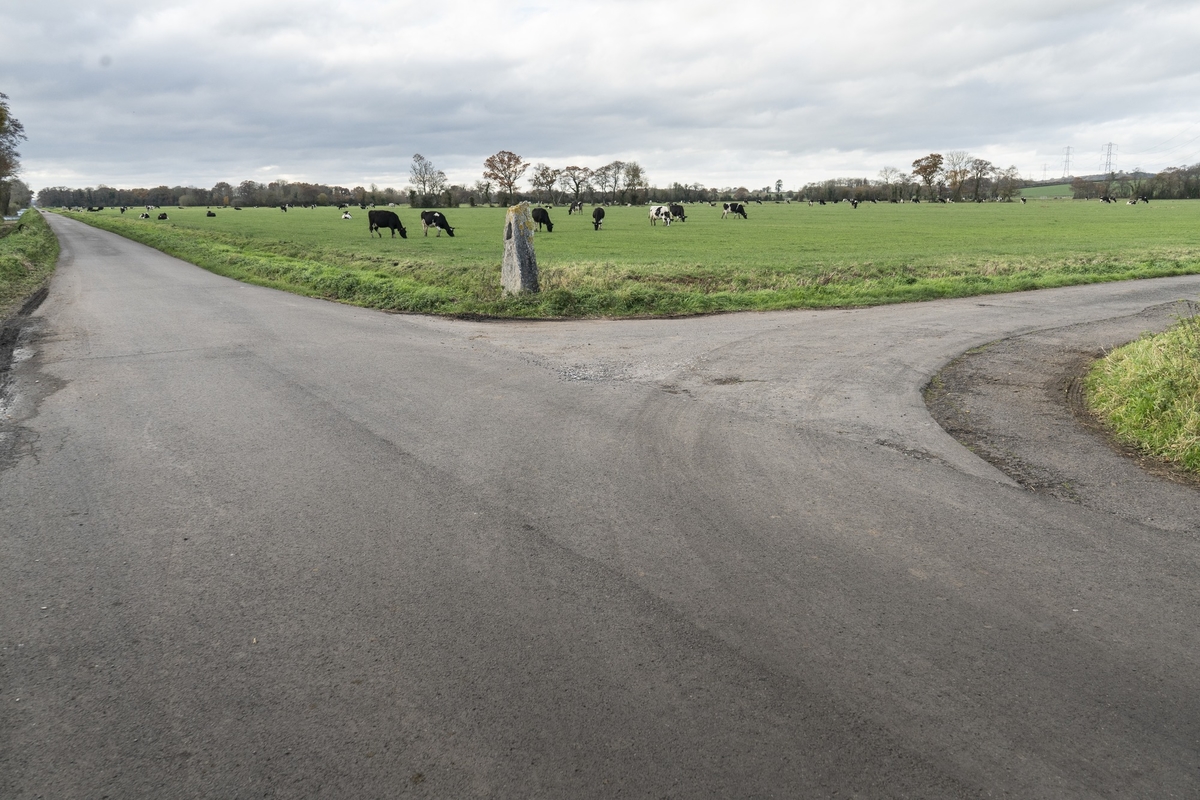 Sustrans Waymarker (Sound Stones 6)