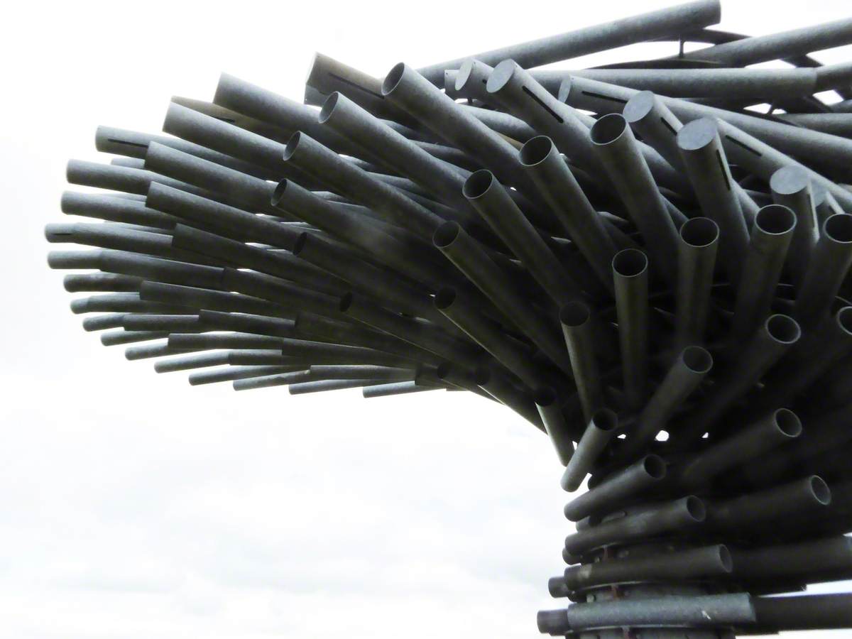 Songs from the Singing Ringing Tree on Vimeo
