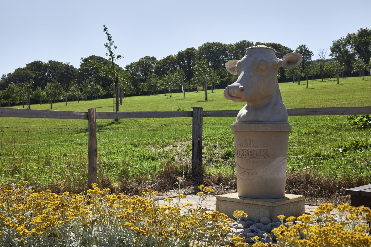 Purbeck Ice Cream Cow