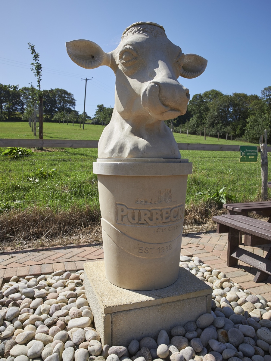 Purbeck Ice Cream Cow