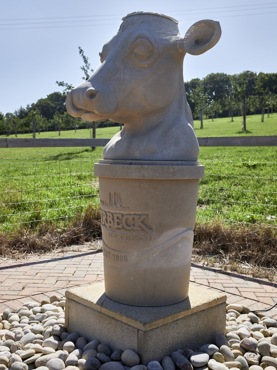 Purbeck Ice Cream Cow