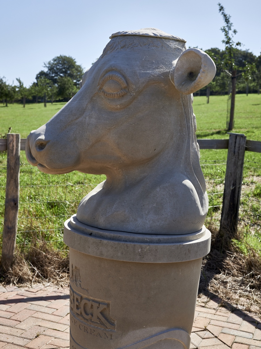 Purbeck Ice Cream Cow