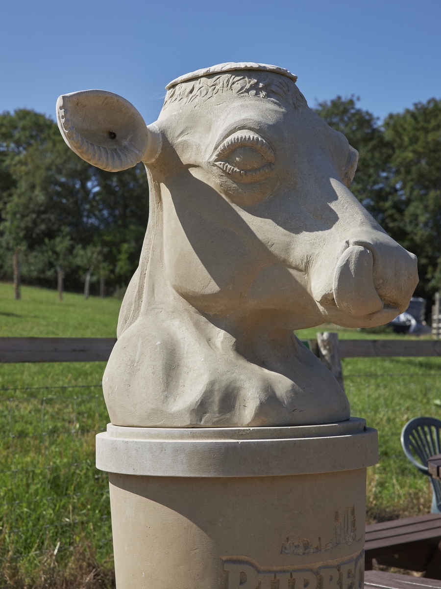 Purbeck Ice Cream Cow