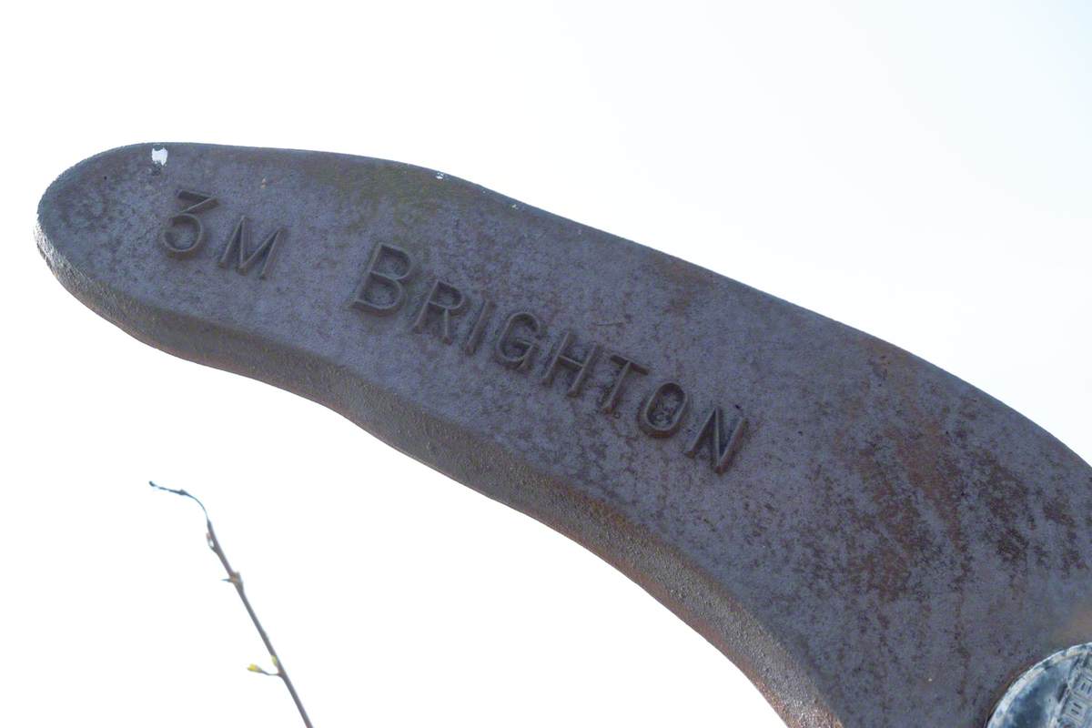 The Fossil Tree (National Cycle Route Marker)