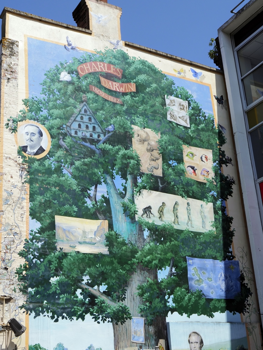 Darwin Mural