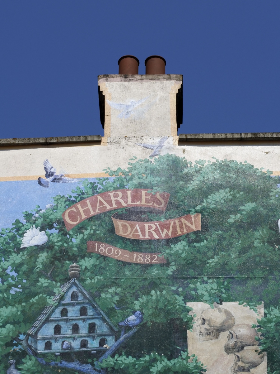 Darwin Mural