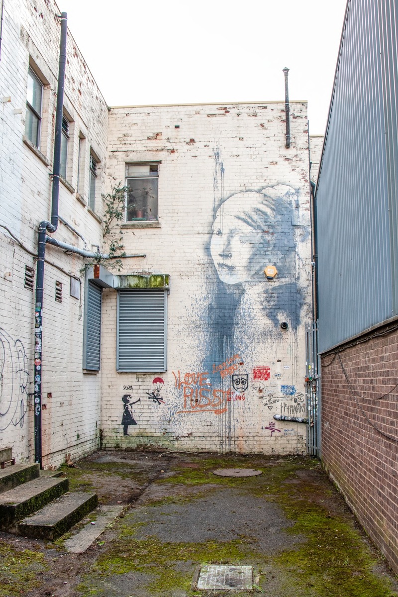 Girl with a Pierced Eardrum | Art UK