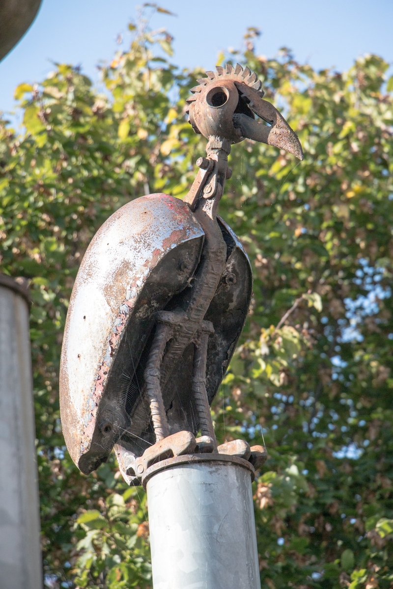 The Greater Breasted Plunger, the Crested Columbus Plunger, and the Hooked Beaked Bantom