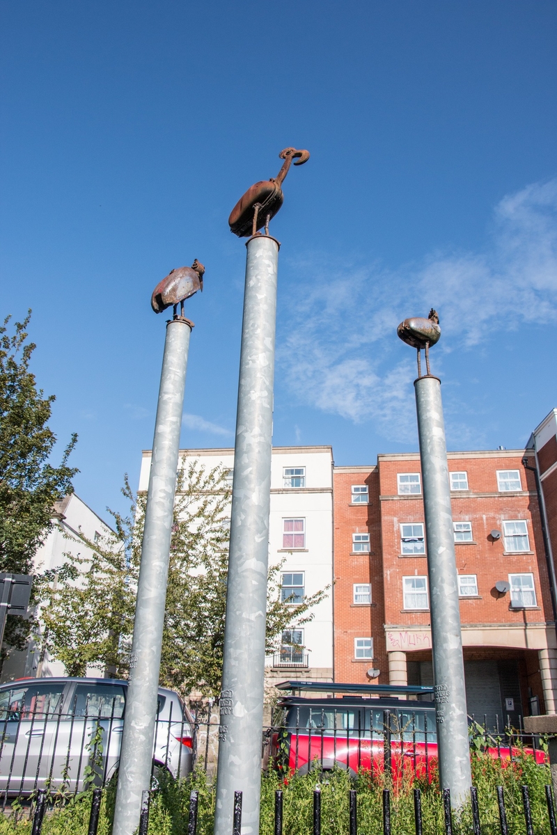 The Greater Breasted Plunger, the Crested Columbus Plunger, and the Hooked Beaked Bantom