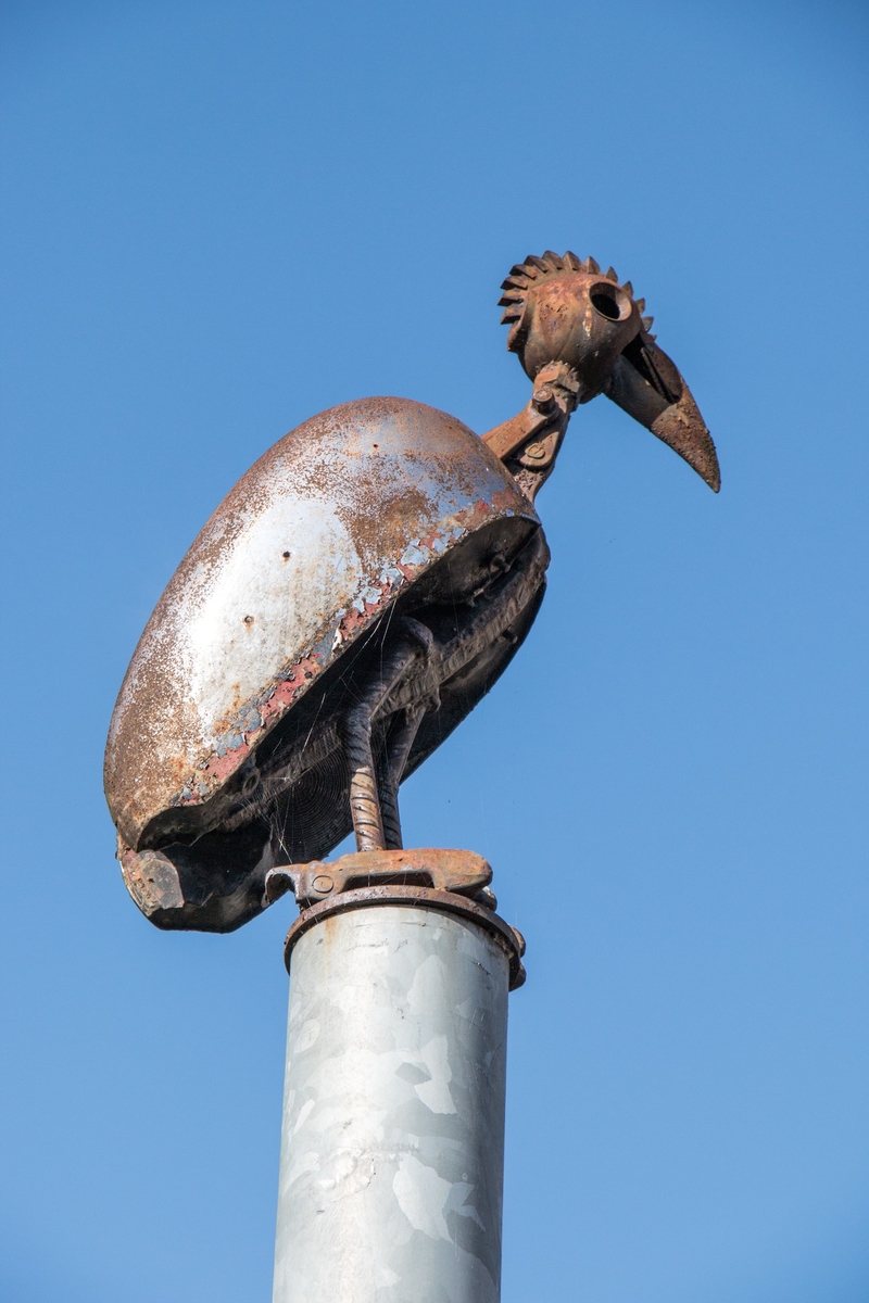 The Greater Breasted Plunger, the Crested Columbus Plunger, and the Hooked Beaked Bantom