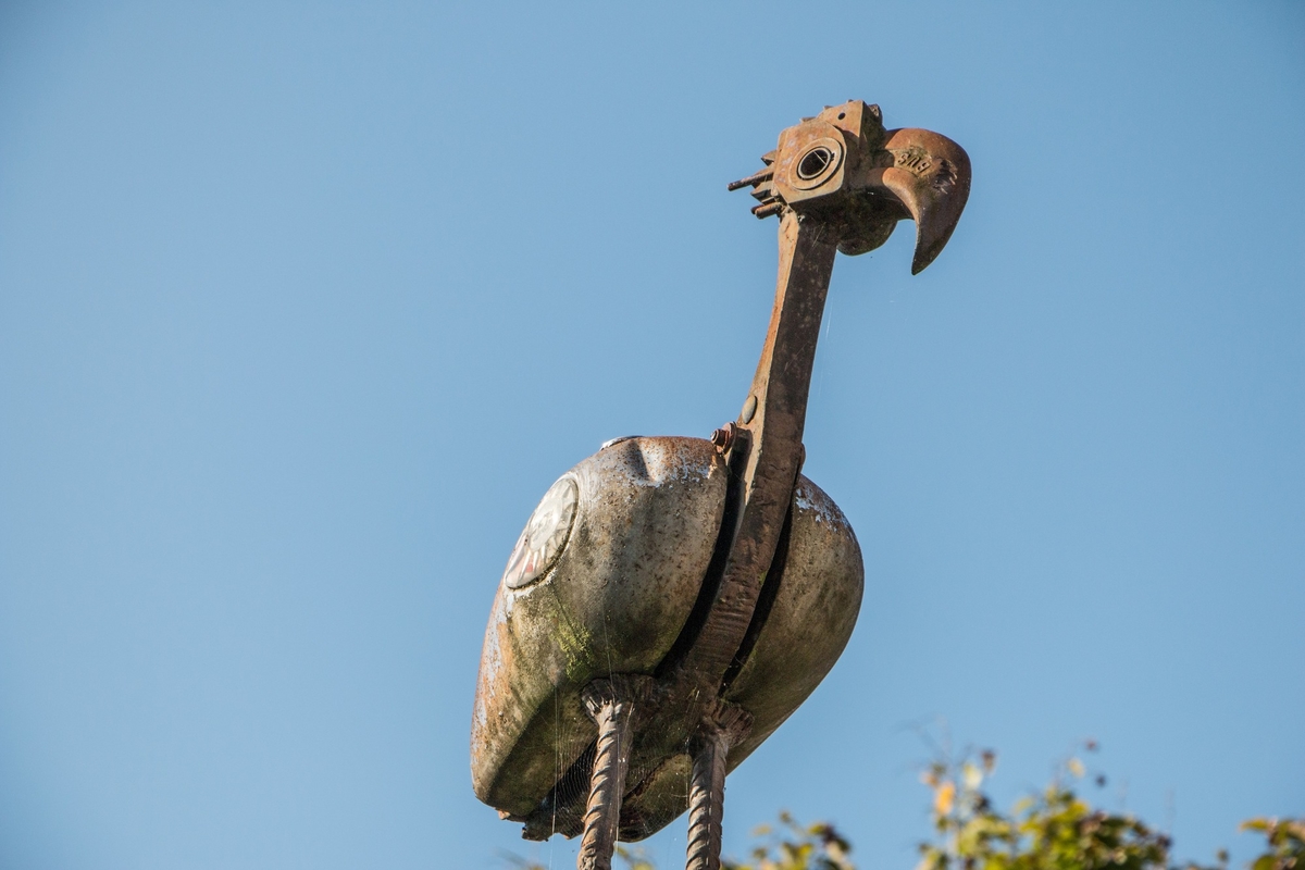 The Greater Breasted Plunger, the Crested Columbus Plunger, and the Hooked Beaked Bantom