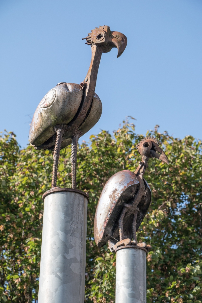 The Greater Breasted Plunger, the Crested Columbus Plunger, and the Hooked Beaked Bantom