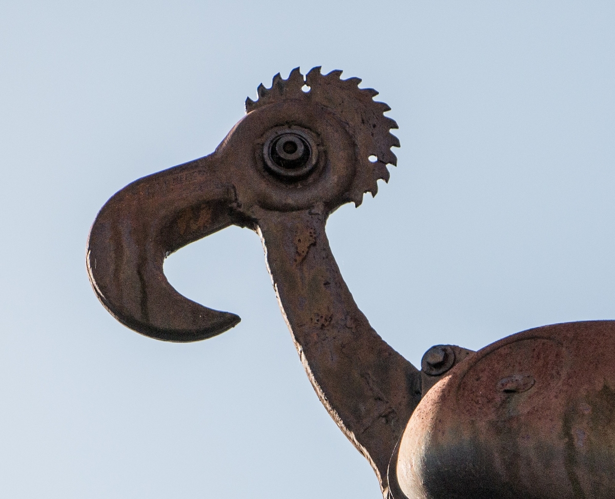 The Greater Breasted Plunger, the Crested Columbus Plunger, and the Hooked Beaked Bantom