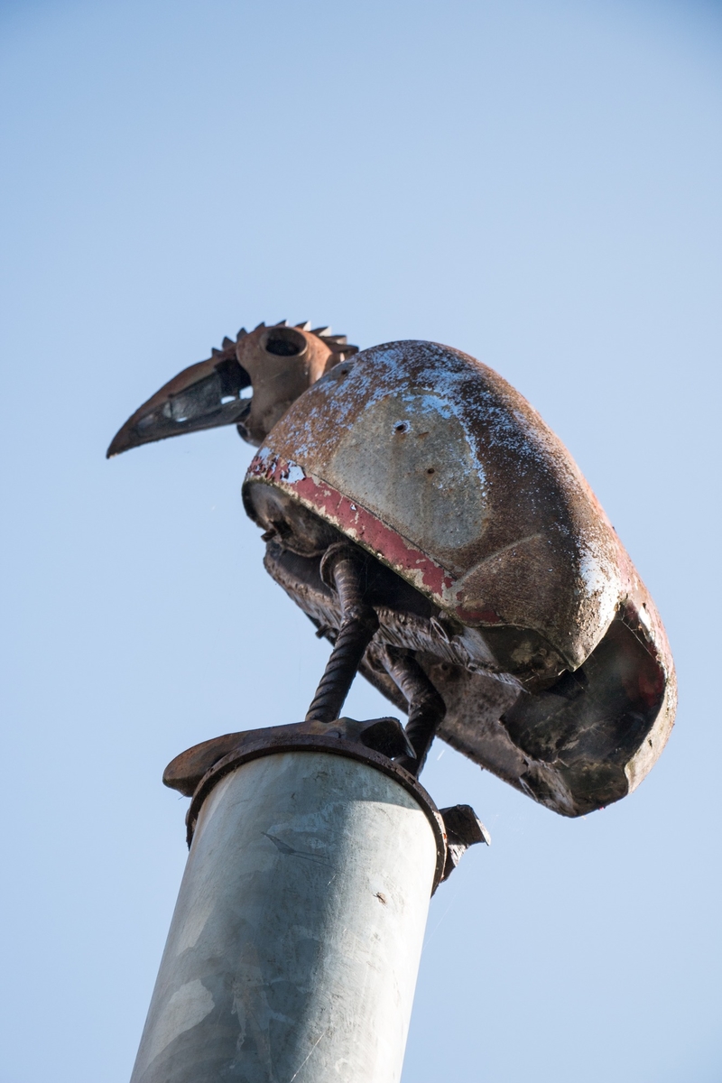 The Greater Breasted Plunger, the Crested Columbus Plunger, and the Hooked Beaked Bantom