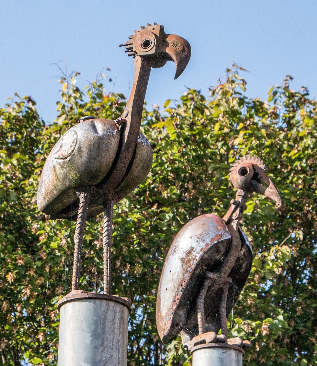 The Greater Breasted Plunger, the Crested Columbus Plunger, and the Hooked Beaked Bantom