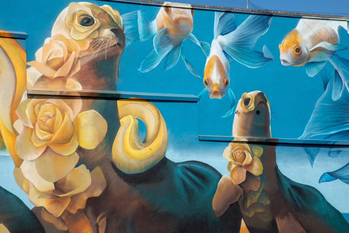 Sea Lions and Fish Mural