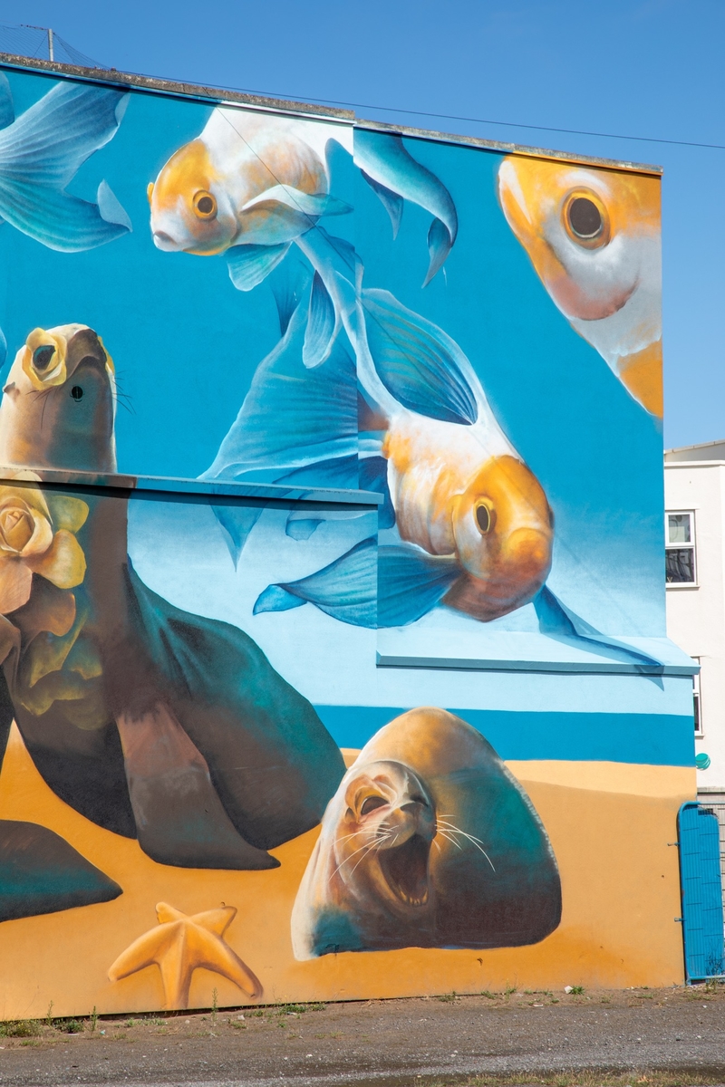 Sea Lions and Fish Mural