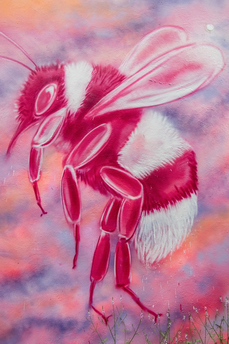 Pink Bees