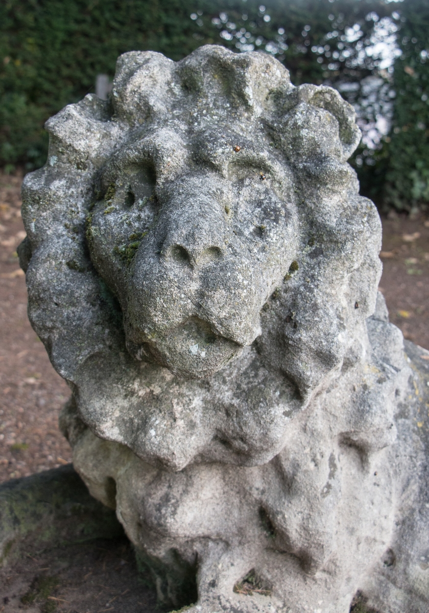 Stone Lion