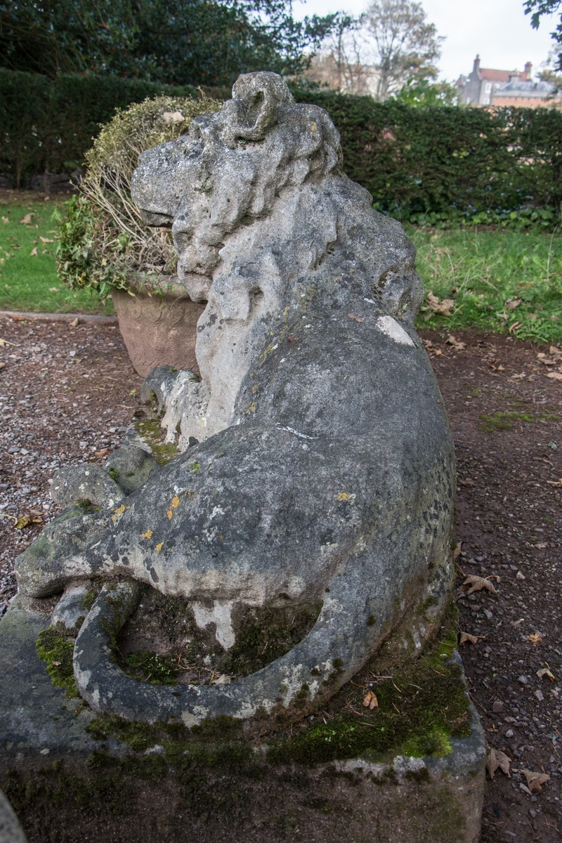 Stone Lion