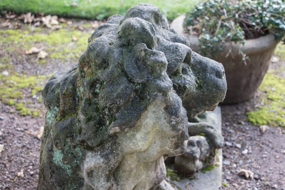 Stone Lion