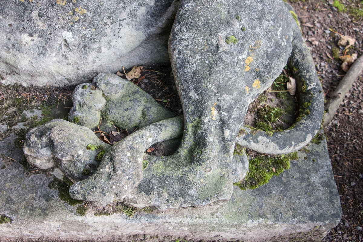 Stone Lion