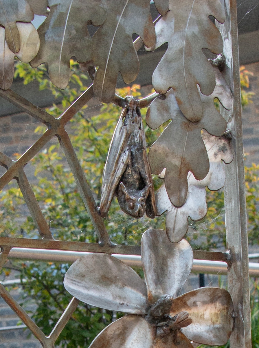 Decorative Fence