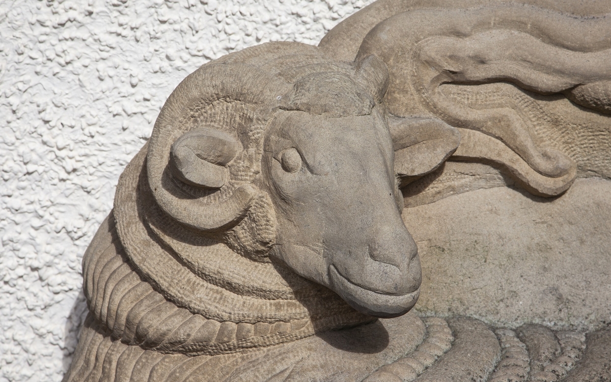 Sheep Benches