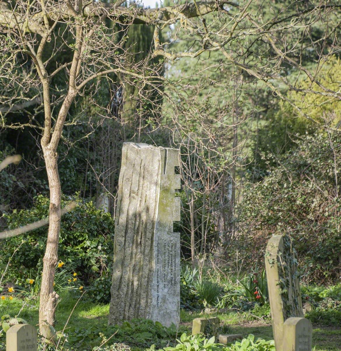 Bird Stones