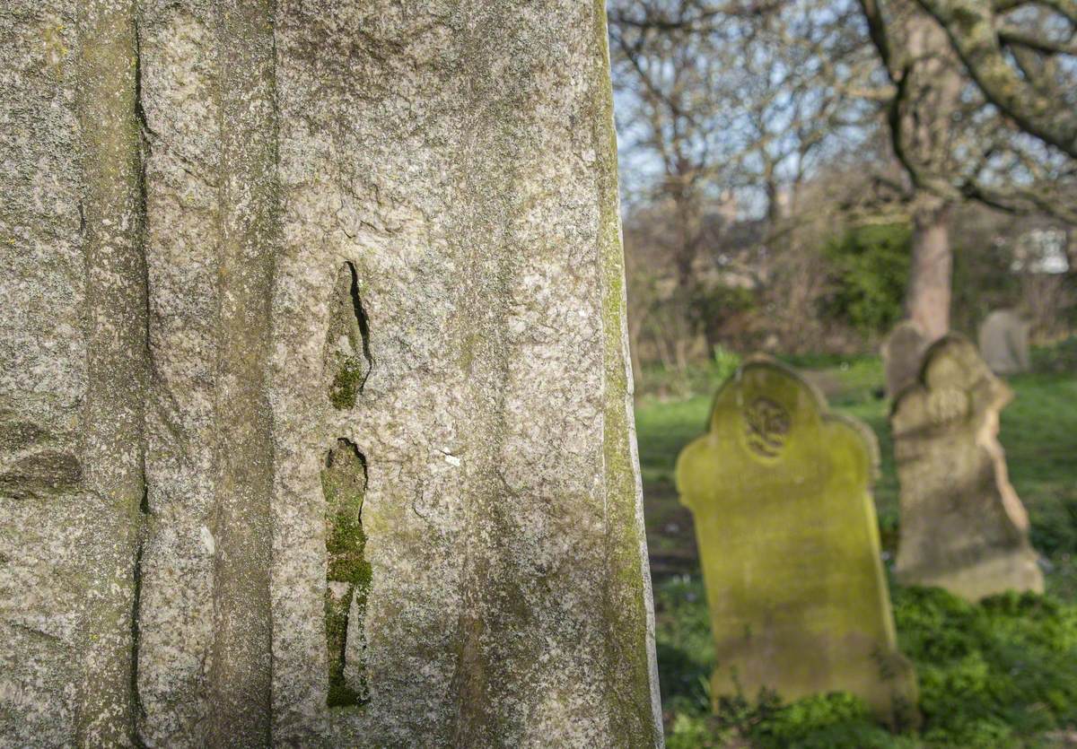 Bird Stones