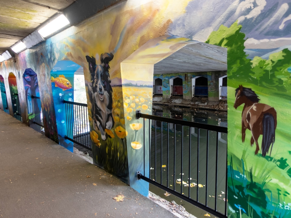 Bell Meadow Underpass