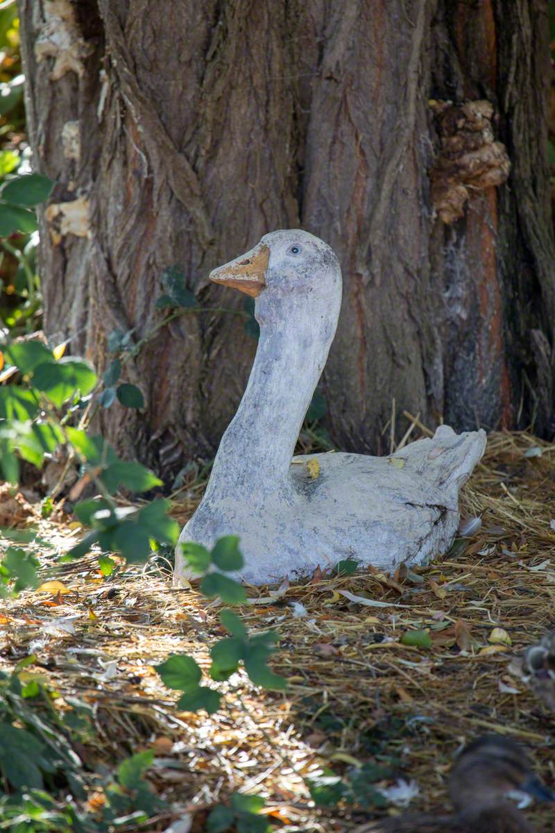 Godfrey Goose