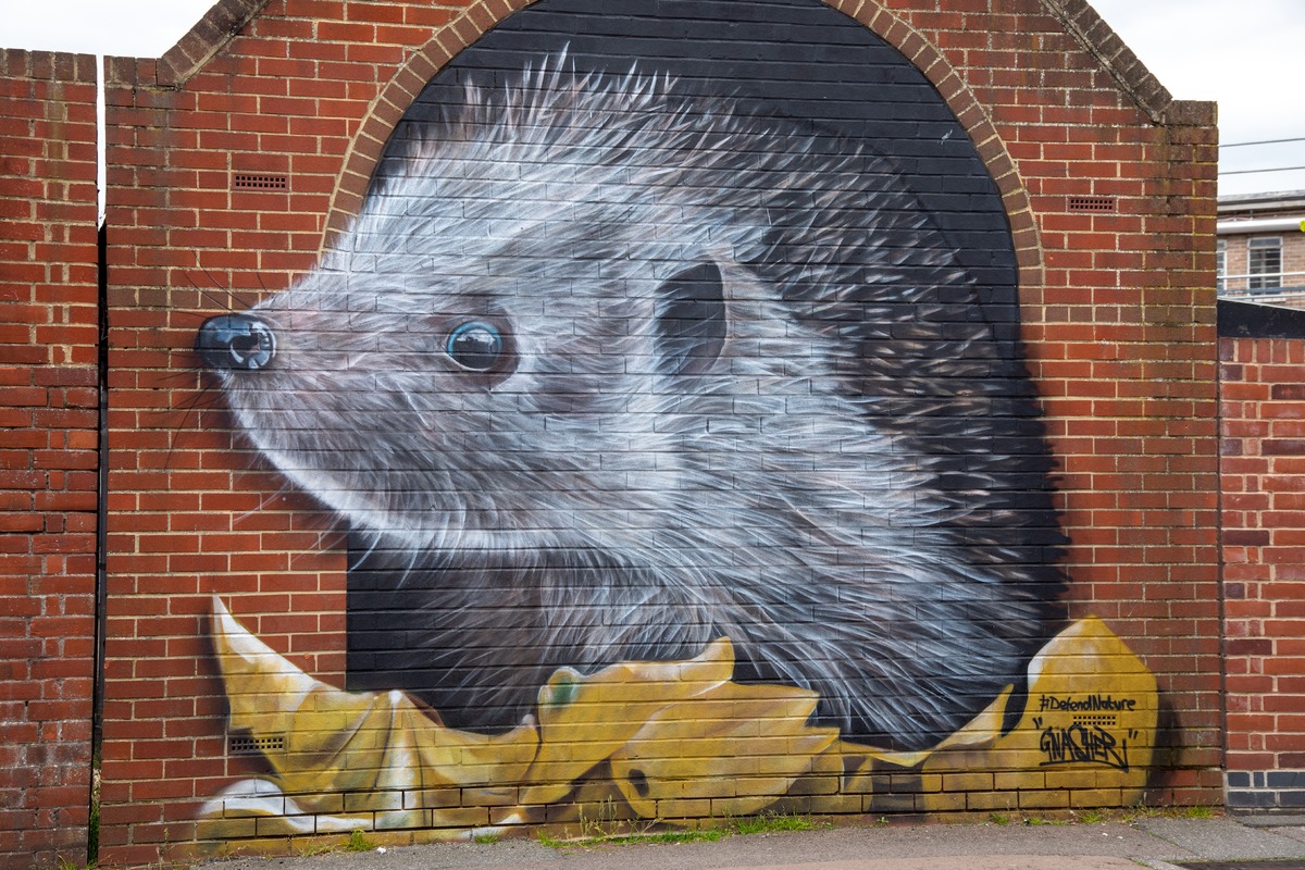 Hedgehog