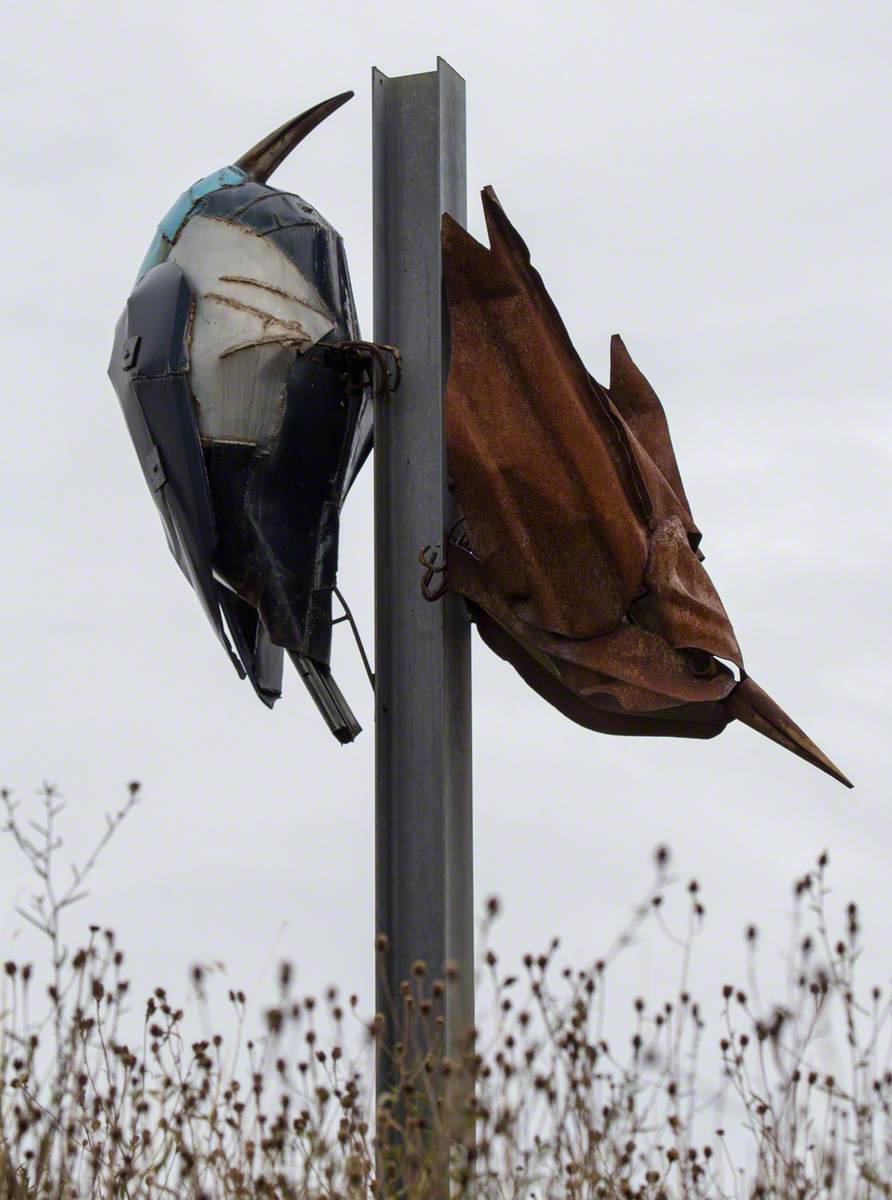 Braintree Birds