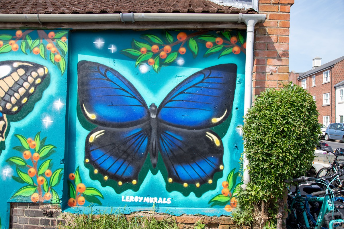 Butterfly Mural