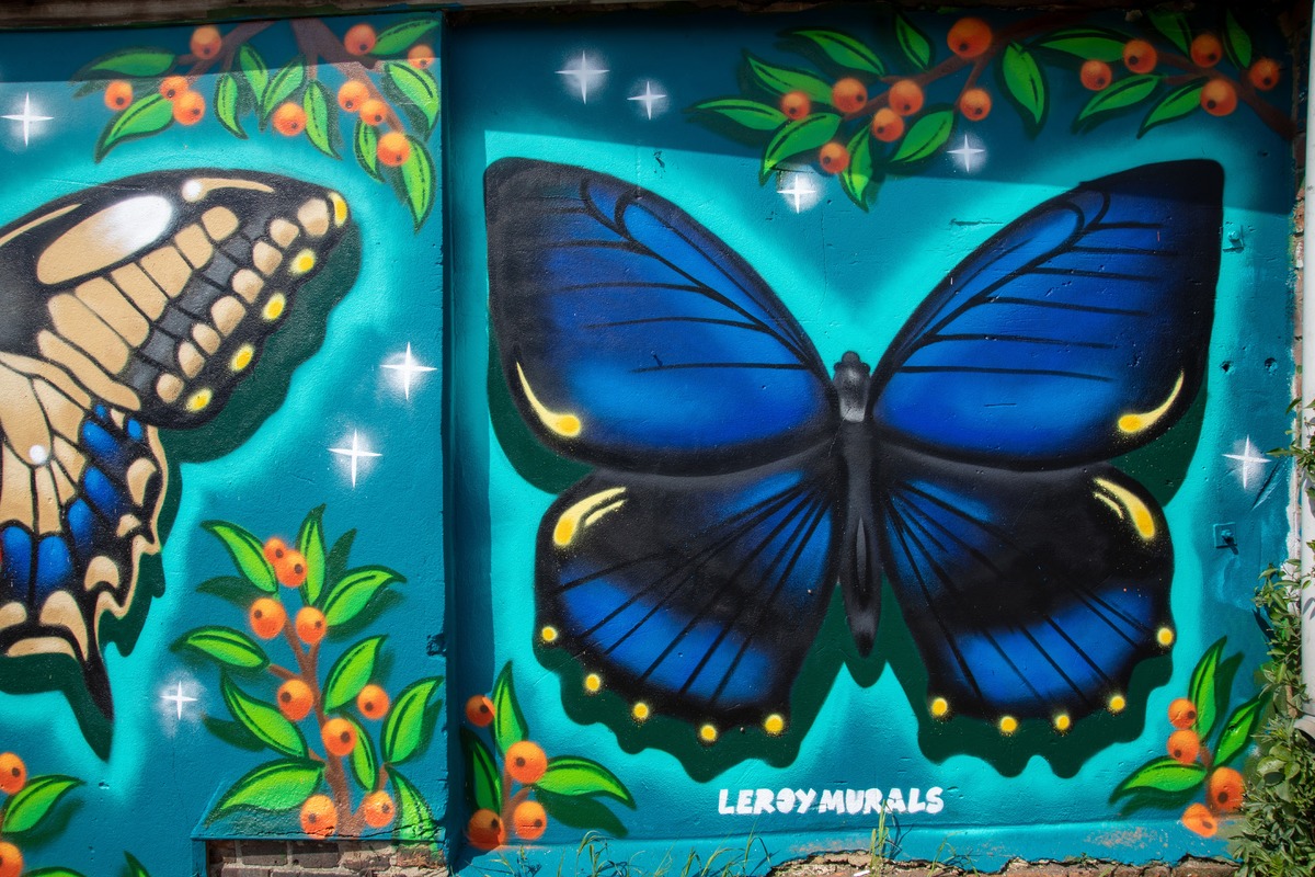 Butterfly Mural