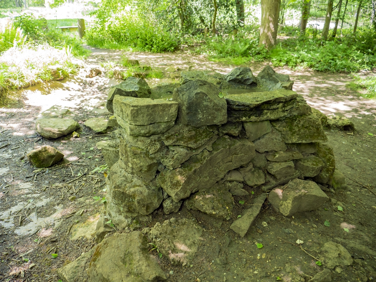 Selsdon Birdbath