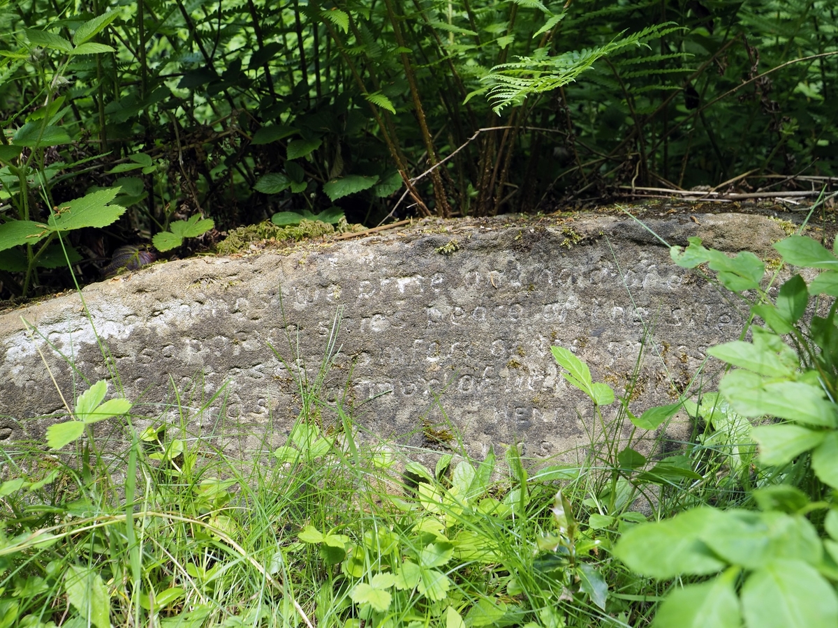 Selsdon Birdbath