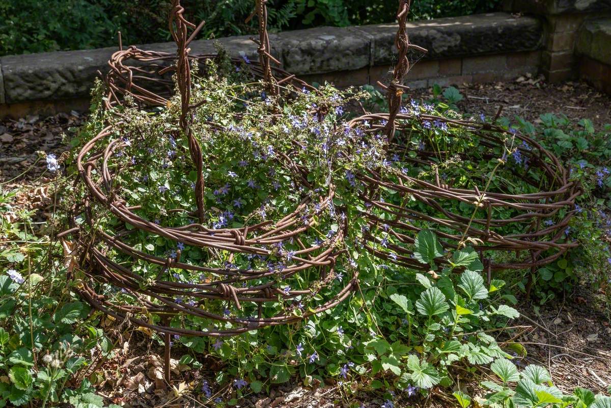 Barbed Poppies