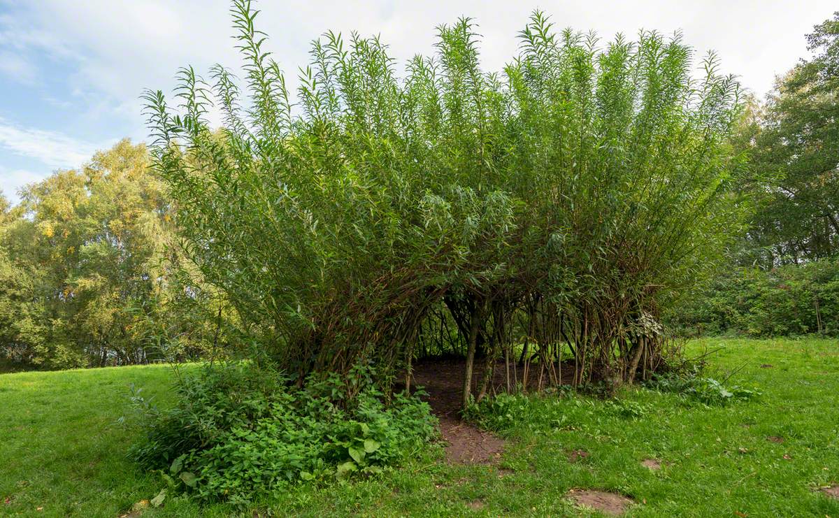 Dane Valley Willow Project