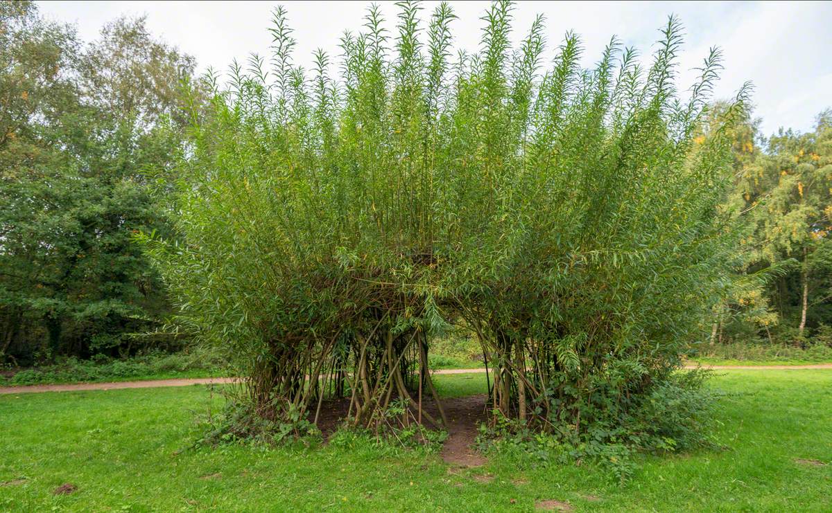 Dane Valley Willow Project