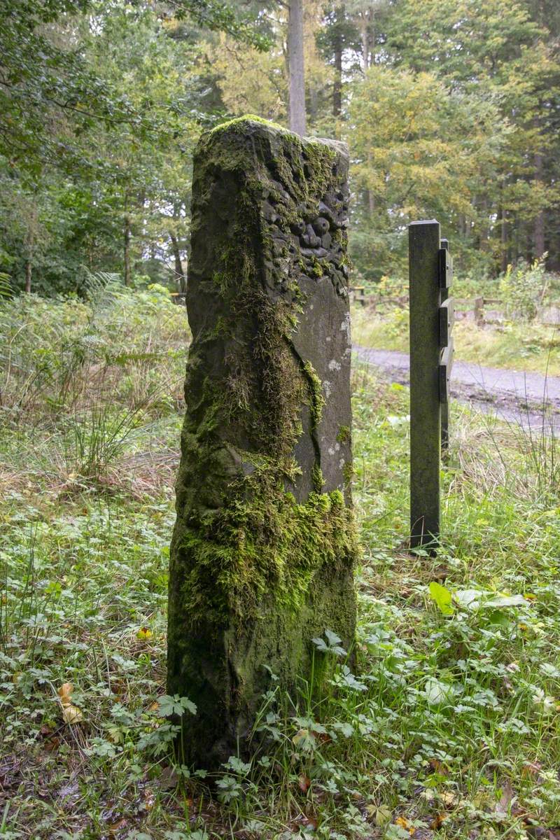 Green Man Face