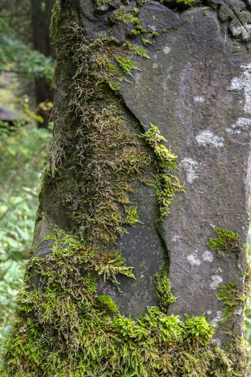 Green Man Face