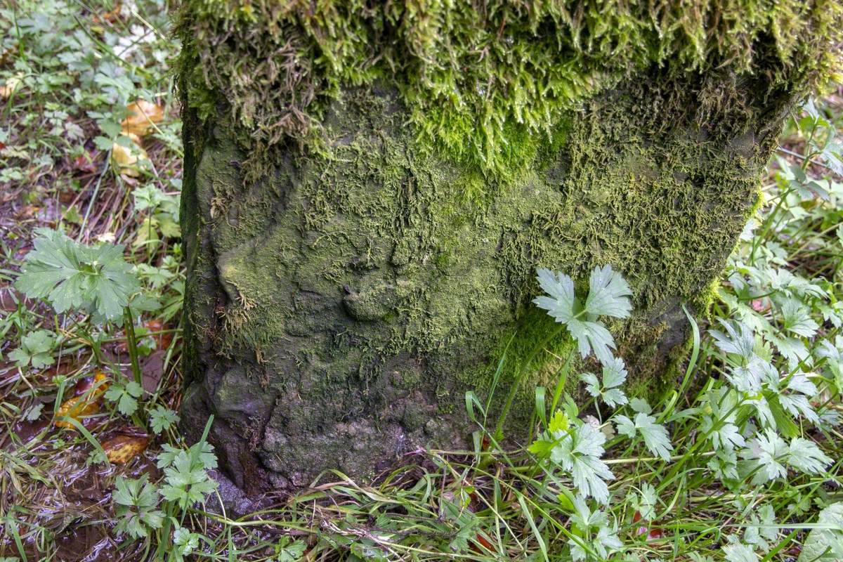 Green Man Face