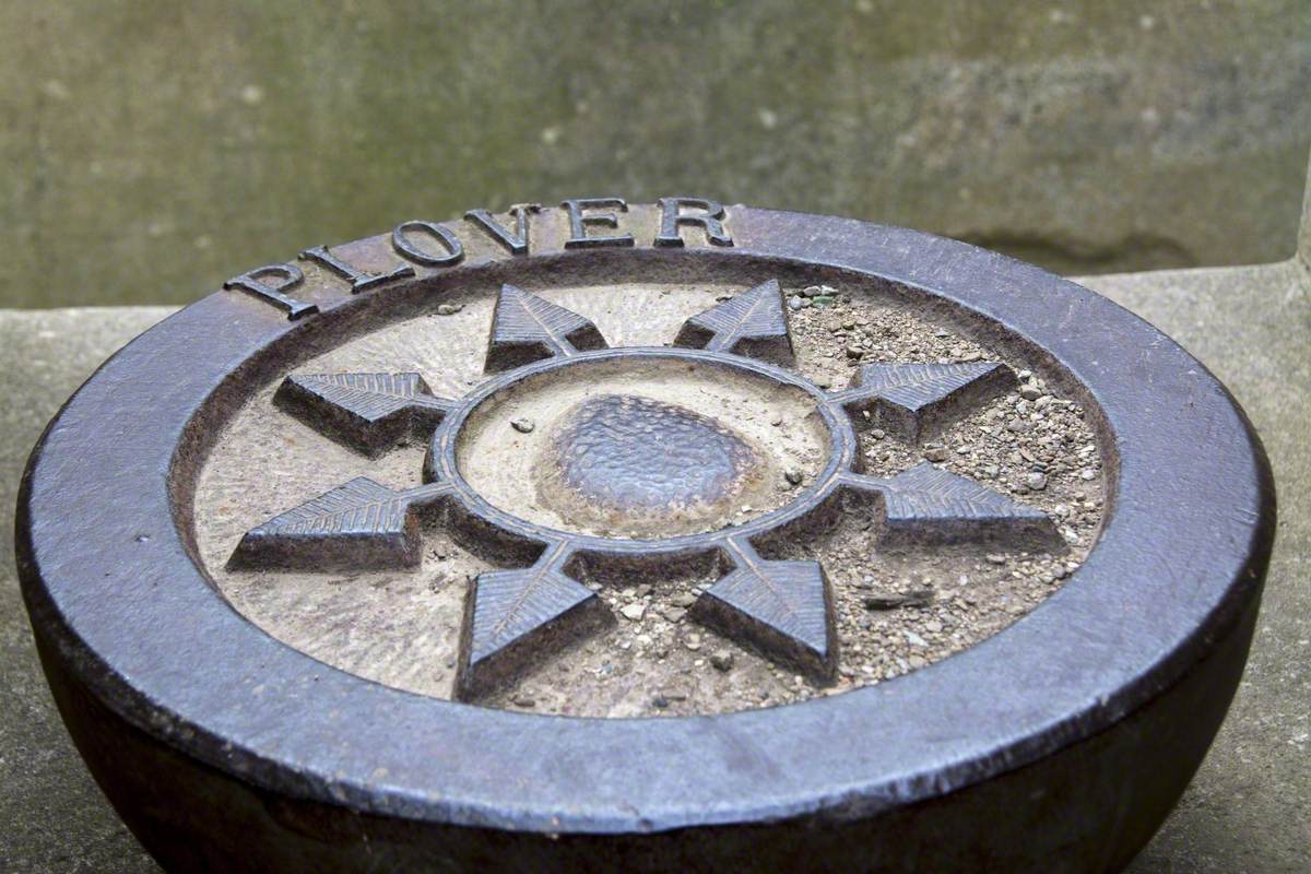 Trinity Stones 3 (Little Ringed Plover)