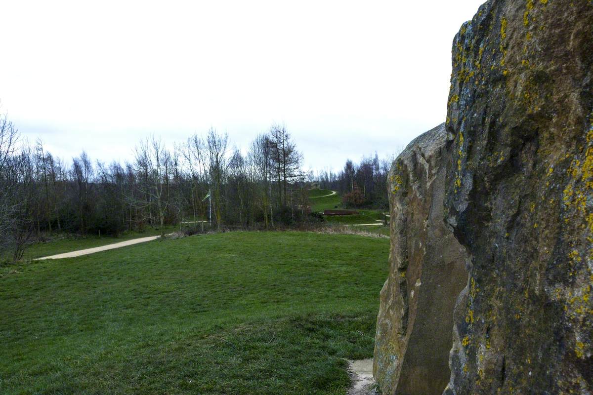 Trinity Stones 3 (Little Ringed Plover)